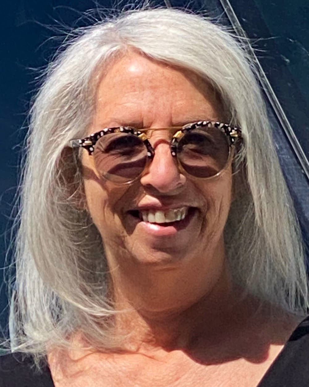 Carlsson Real Estate Inc