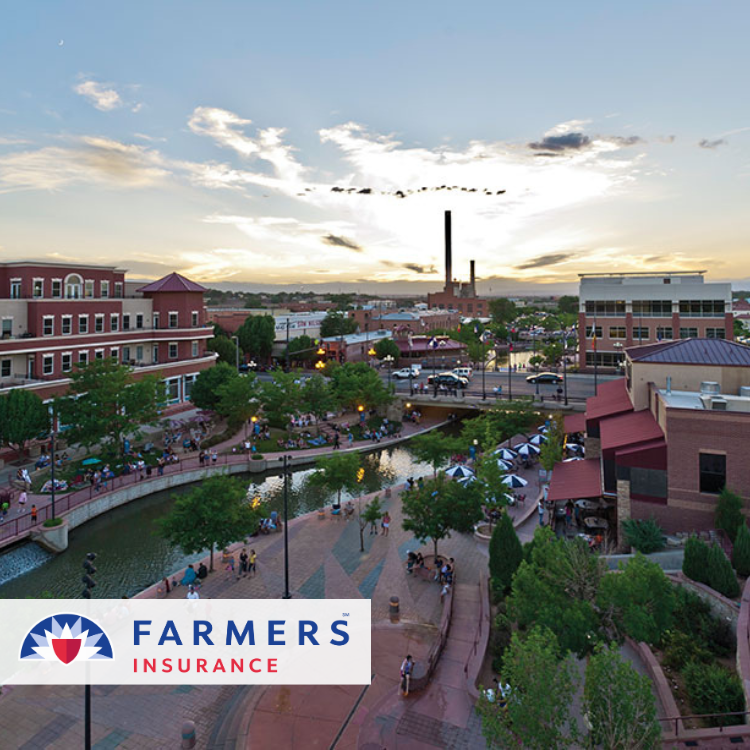 Farmers Insurance – Molly Halverson