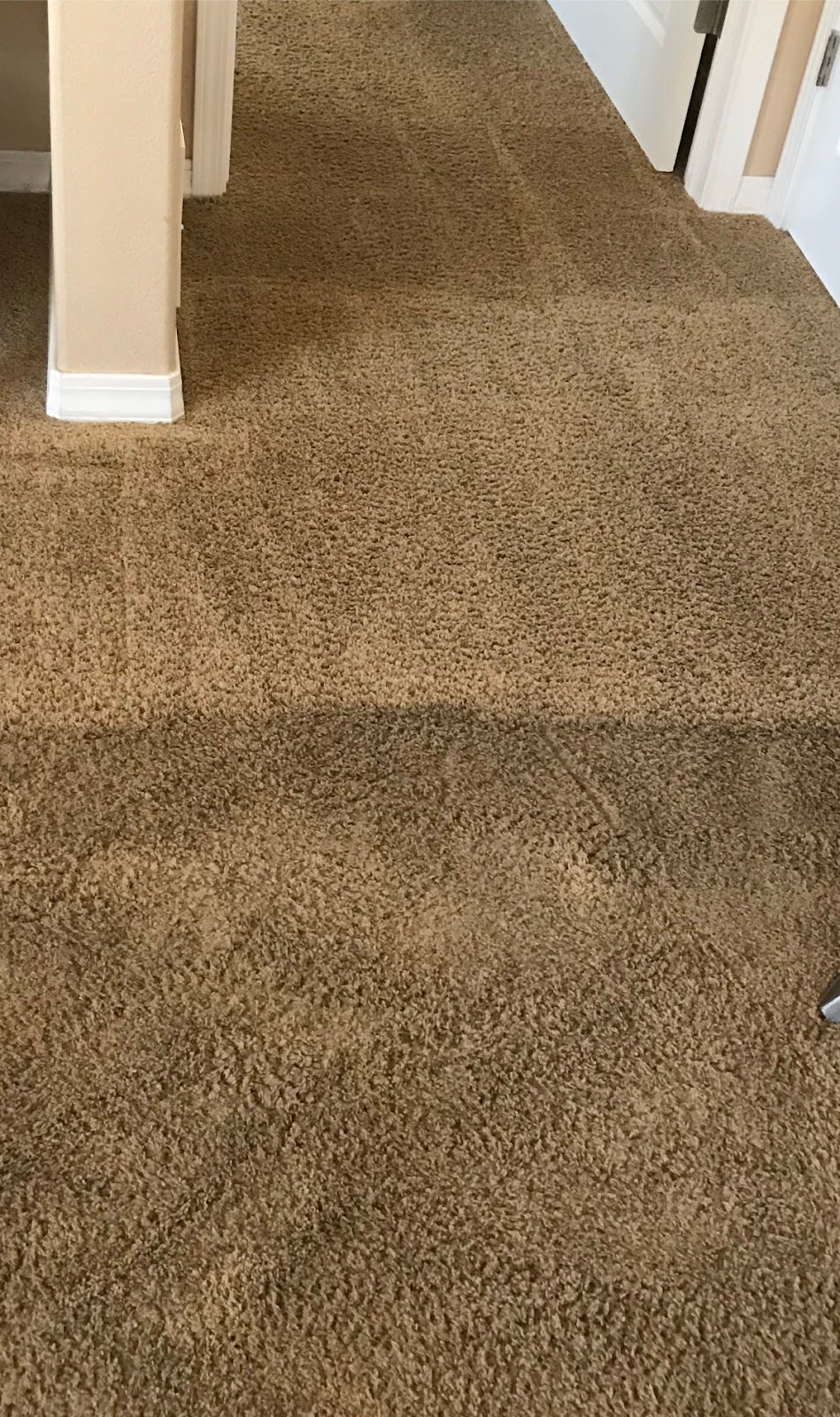 First Choice Carpet Cleaning Llc