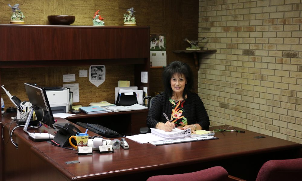 McLaughlin Bankruptcy