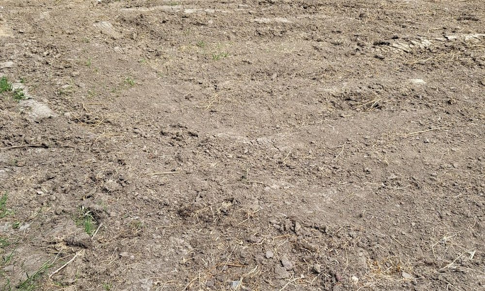 RC BOBCAT & LANDSCAPE SERVICE